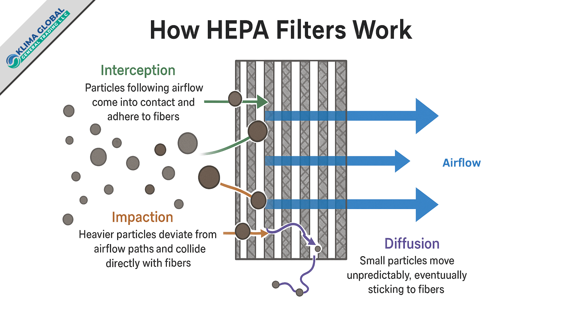 Detailed diagram showing how HEPA filters work, illustrating interception, impaction, and diffusion processes as particles pass through filter fibers with labeled airflow paths and color-coded filtration mechanisms.